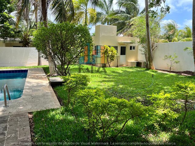 place photo 36