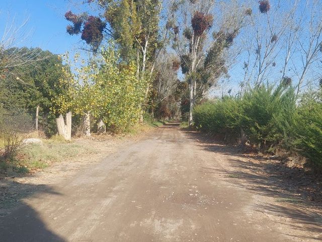 place photo 44