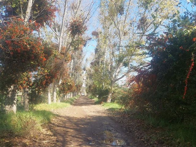 place photo 46