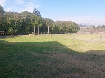 place photo 38