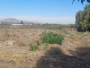 place photo 39