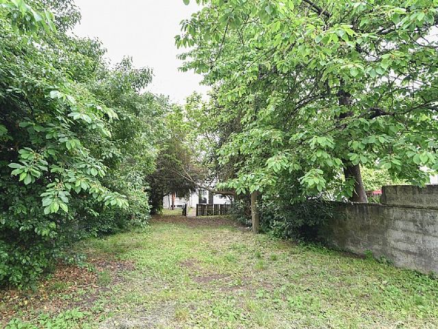 place photo 24