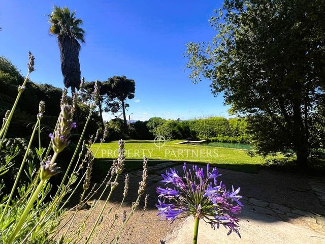 place photo 31