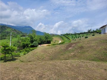 place photo 65