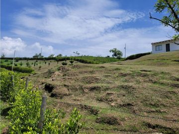 place photo 67