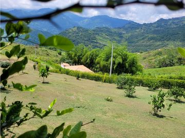 place photo 54