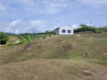 place photo 66