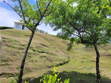 place photo 61