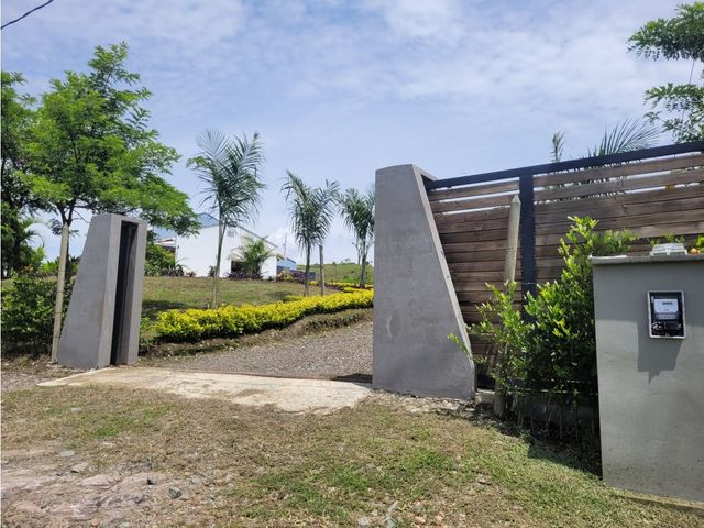 place photo 43