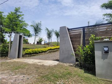 place photo 43
