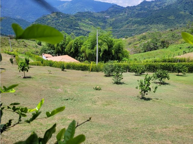place photo 62