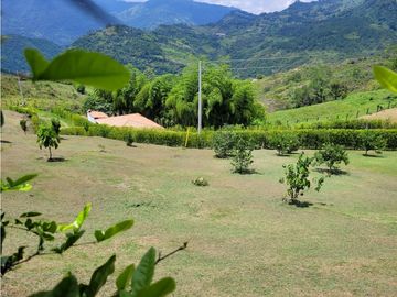 place photo 62
