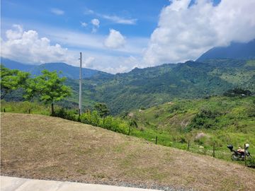 place photo 58