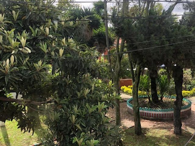 place photo 25