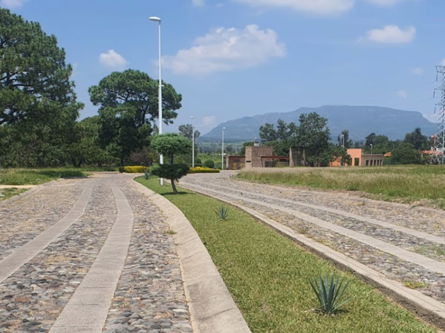 place photo 11