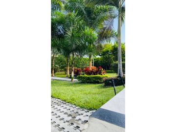place photo 48