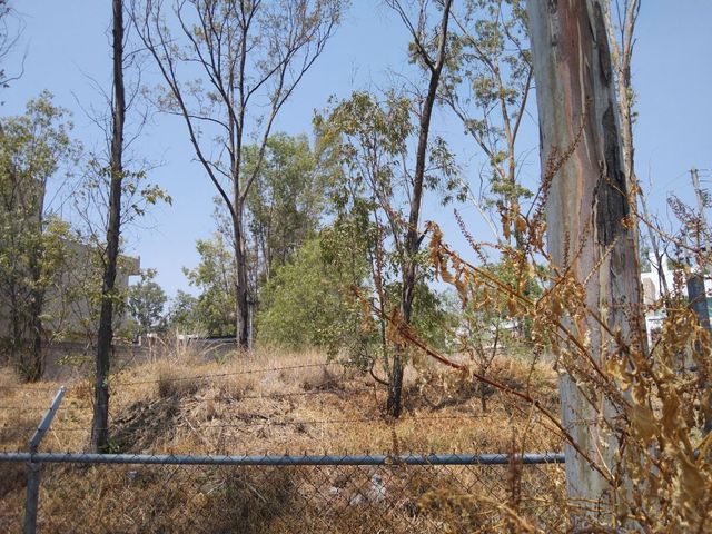 place photo 15