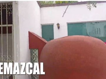 place photo 49