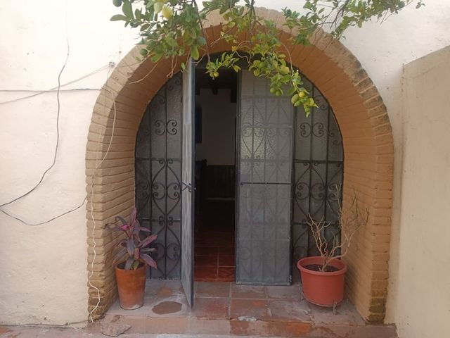 place photo 26