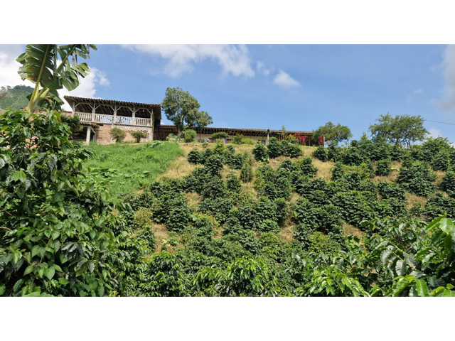 place photo 30
