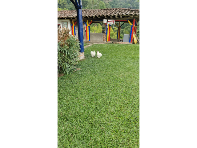 place photo 33
