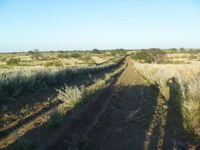 place photo 4