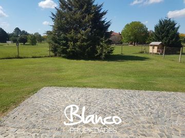 place photo 20