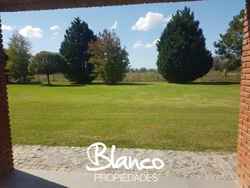 place photo 19