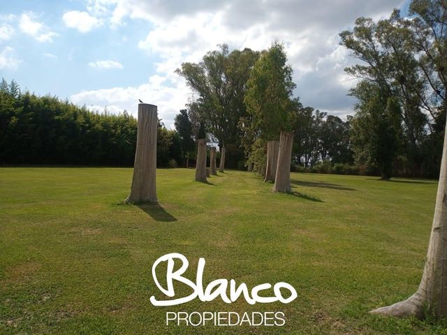 place photo 20