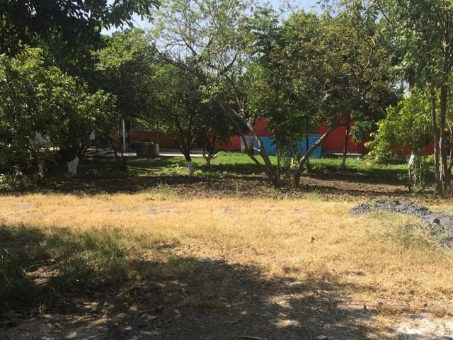 place photo 3
