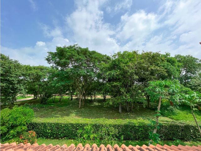 place photo 53