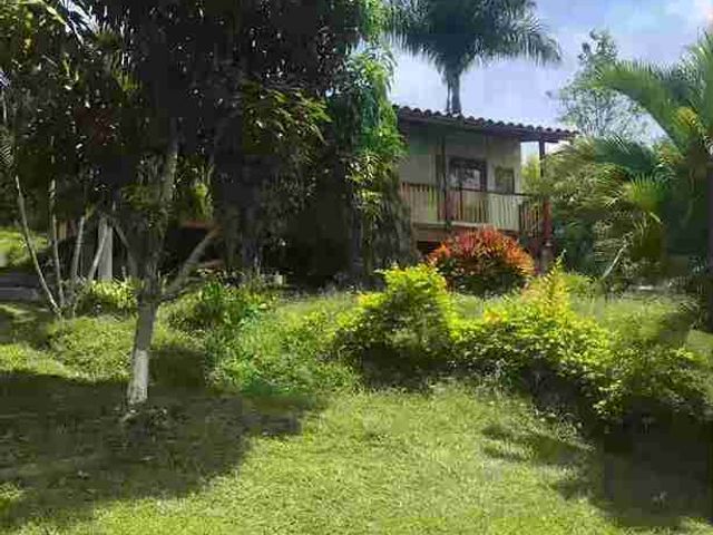 place photo 25