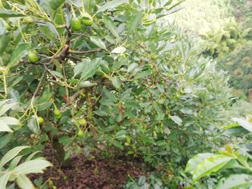 place photo 44