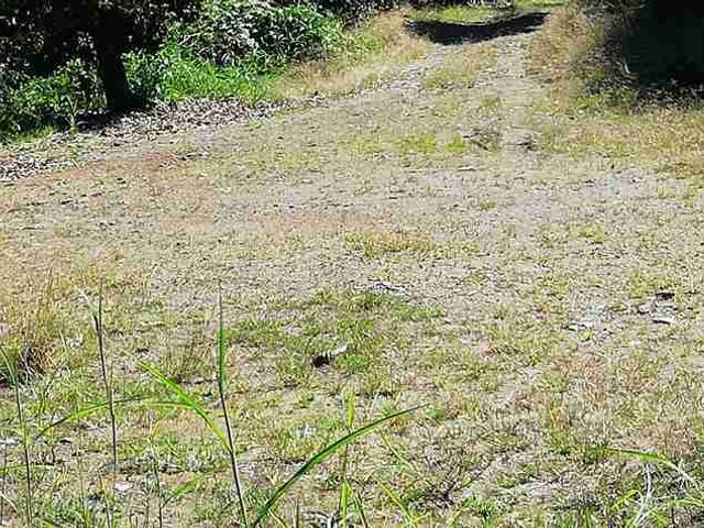 place photo 41