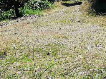 place photo 41