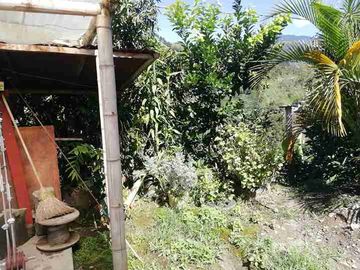 place photo 38