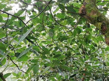 place photo 39