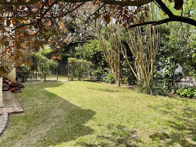 place photo 57