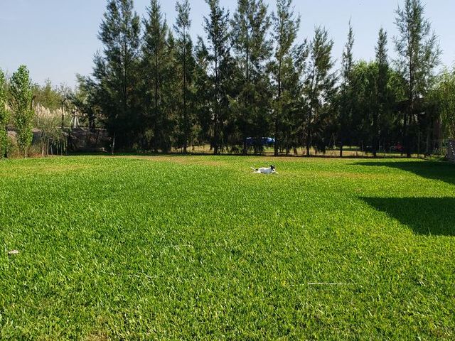 place photo 31