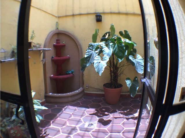 place photo 30