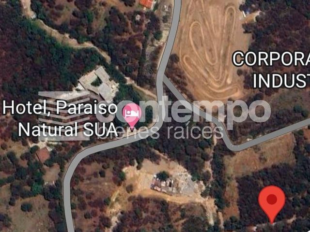 place photo 11