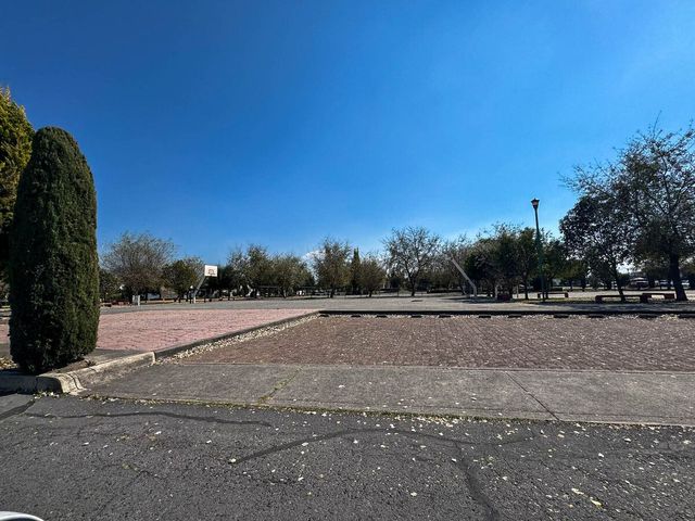 place photo 23