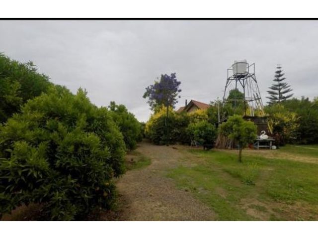 place photo 16