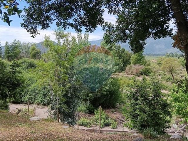 place photo 42