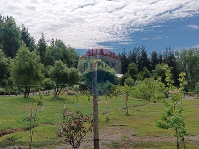 place photo 62