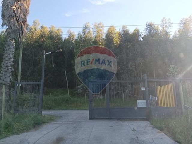 place photo 68