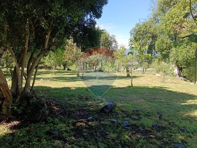 place photo 56