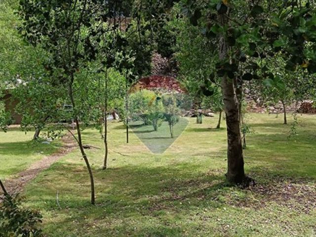 place photo 45