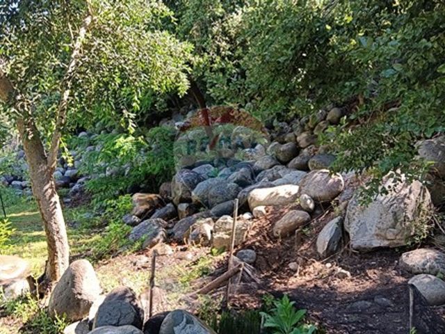 place photo 57
