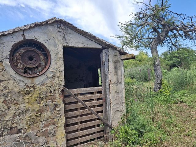 place photo 83